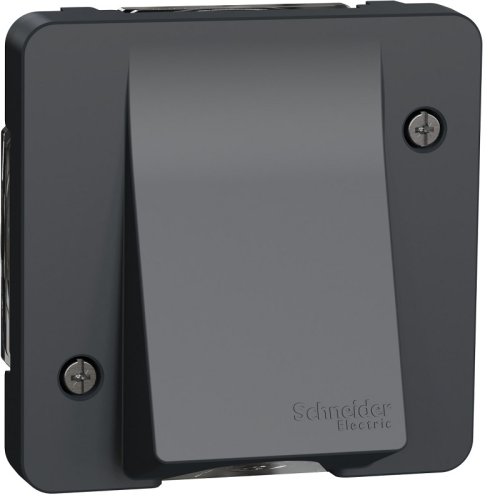 Вывод кабеля без рамки Schneider Electric Mureva Styl IP55 антрацит картинка